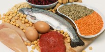 Hvordan hjælper protein dig til at nå dine drømmemål?